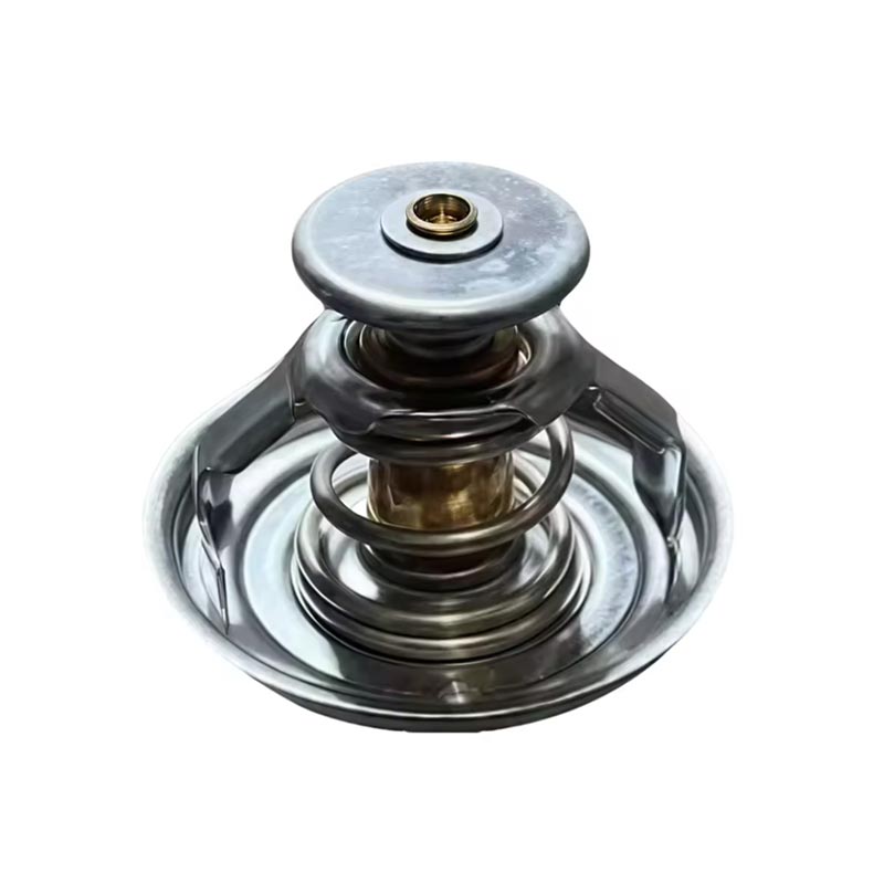 ʻEnekini Kalaka Thermostat 1000837830